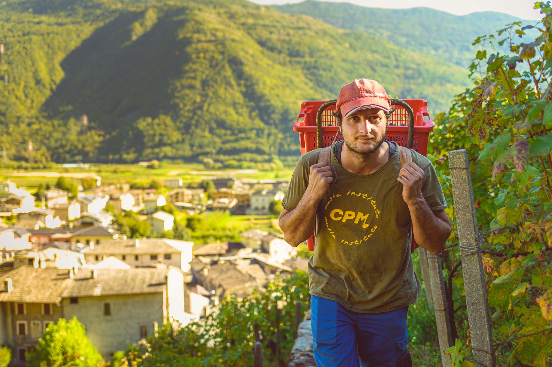 Farina di segale alpina - Butéga Valtellina | Shop Online