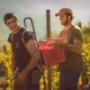 visita vigna tirano
