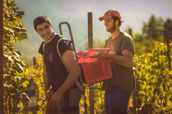visita vigna tirano